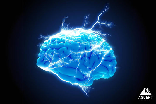 Best Electrolyte Supplement – Benefits of Humic and Fulvic Acid