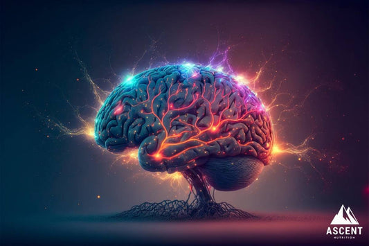Omega 3 DHA as a Nootropic Supplement for Brain Health