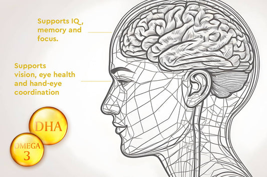 Eyes on the Prize – Cognitive and Visual Benefits of Omega-3s for Students, Gamers, and Writers
