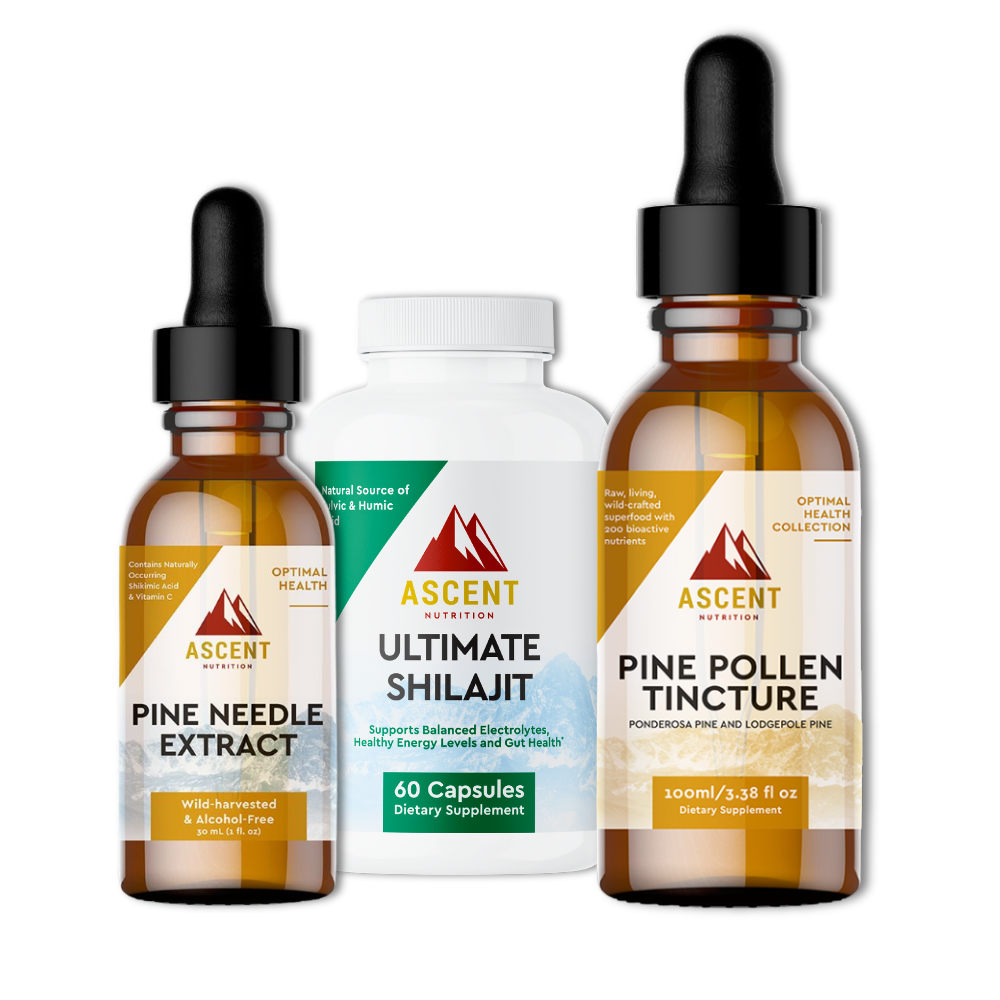 Healthy Gut Support Bundle