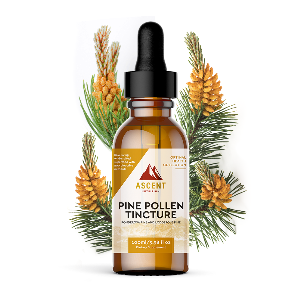 Pine Pollen Tincture - 4 Fl. Oz. Bottle
