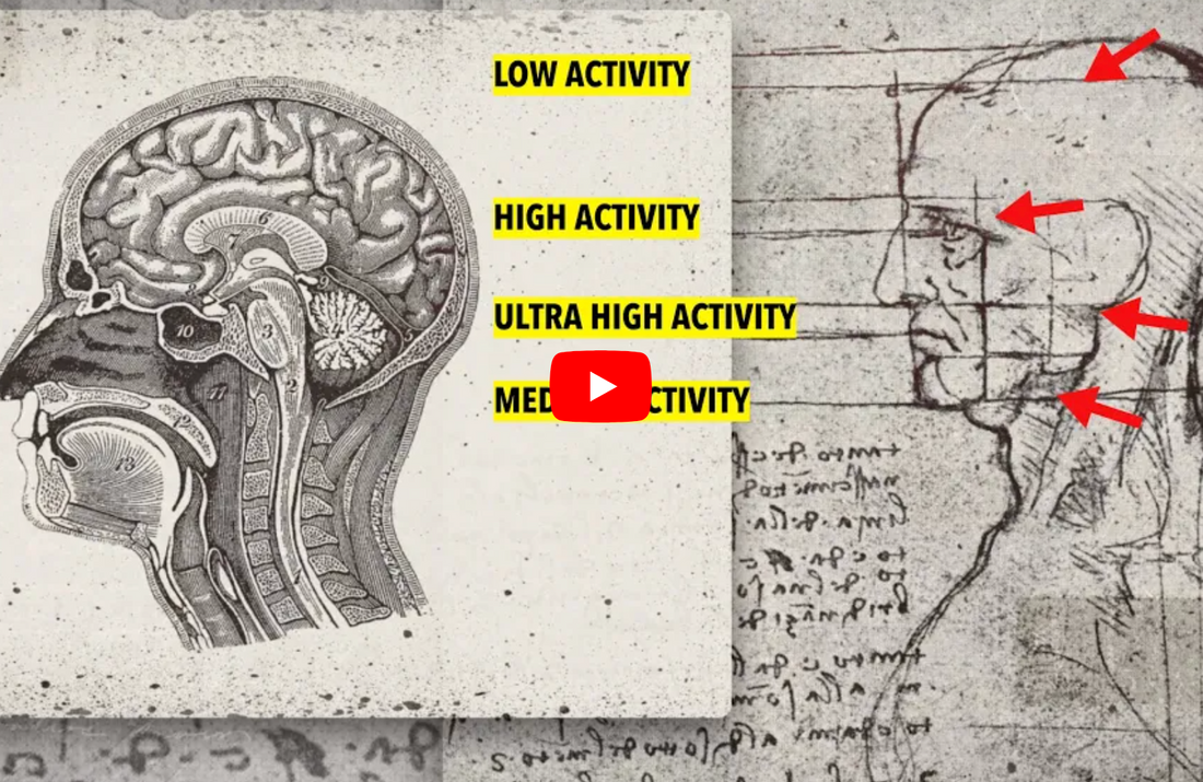 The Quantum Characteristics of DHA, The Human Brain and Neurogenesis.