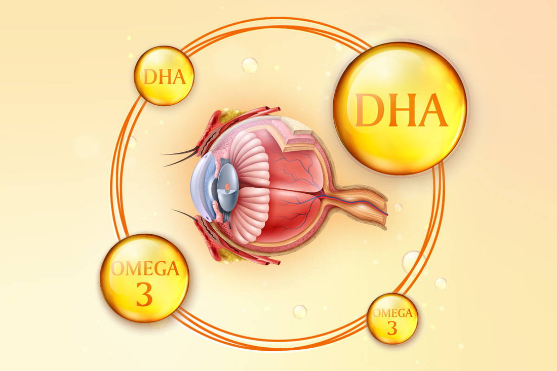 Dha Function Omega-3s and DHA for Eye Health – Promote Vision and Brain Health ...