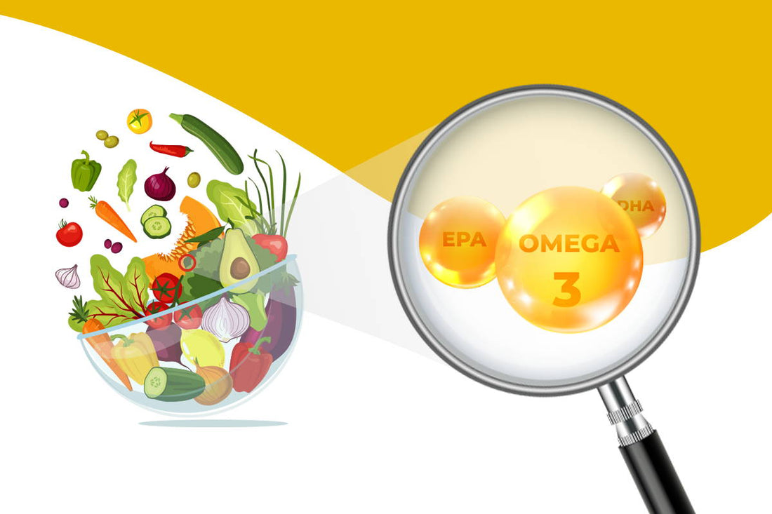 Best Vegan Omega 3 Supplement – Algae Oil DHA