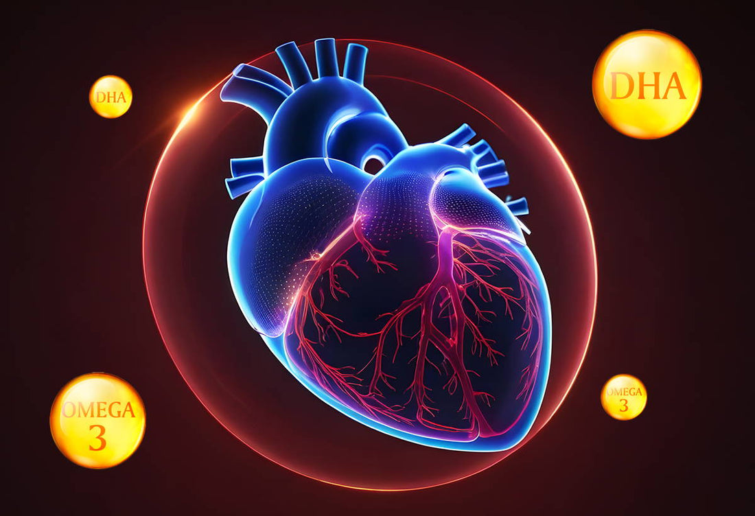 Omega 3 Heart Benefits – How Algae Oil DHA Supports Cardiovascular Health