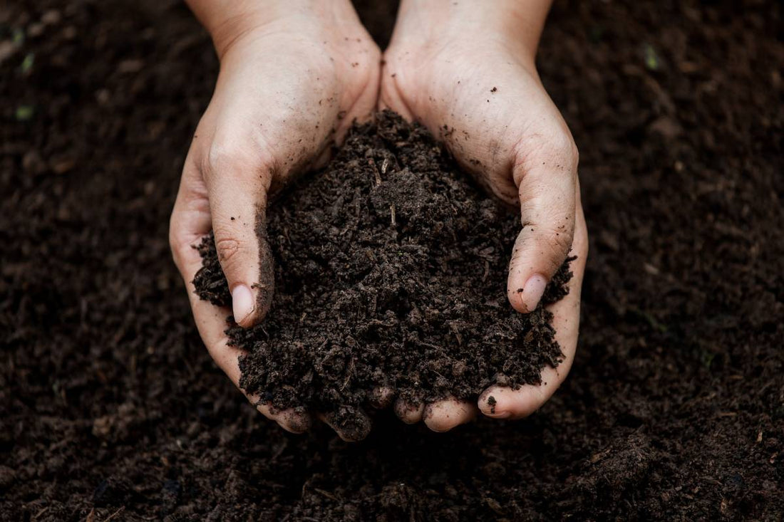 What is Fulvic Acid A Guide to the Benefits of Fulvic Acid for Human Health