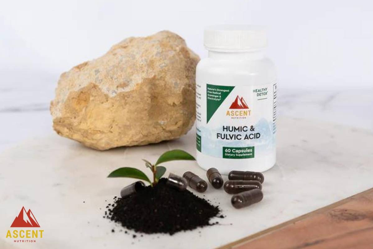 Difference Between Humic and Fulvic Acid – Ascent Nutrition