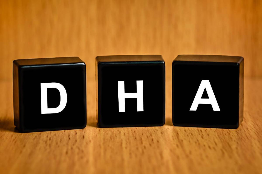 Guide on DHA – Benefits of Docosahexaenoic Acid
