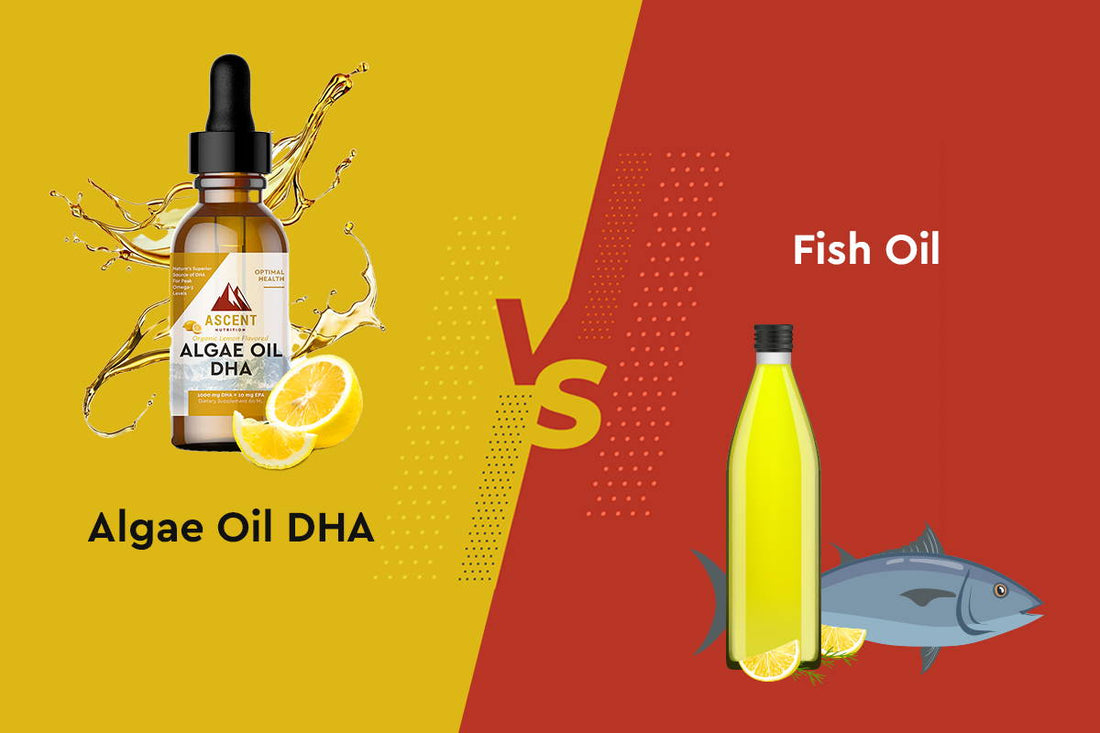 Algae Oil DHA Vs. Fish Oil Omega 3 – Ascent Nutrition