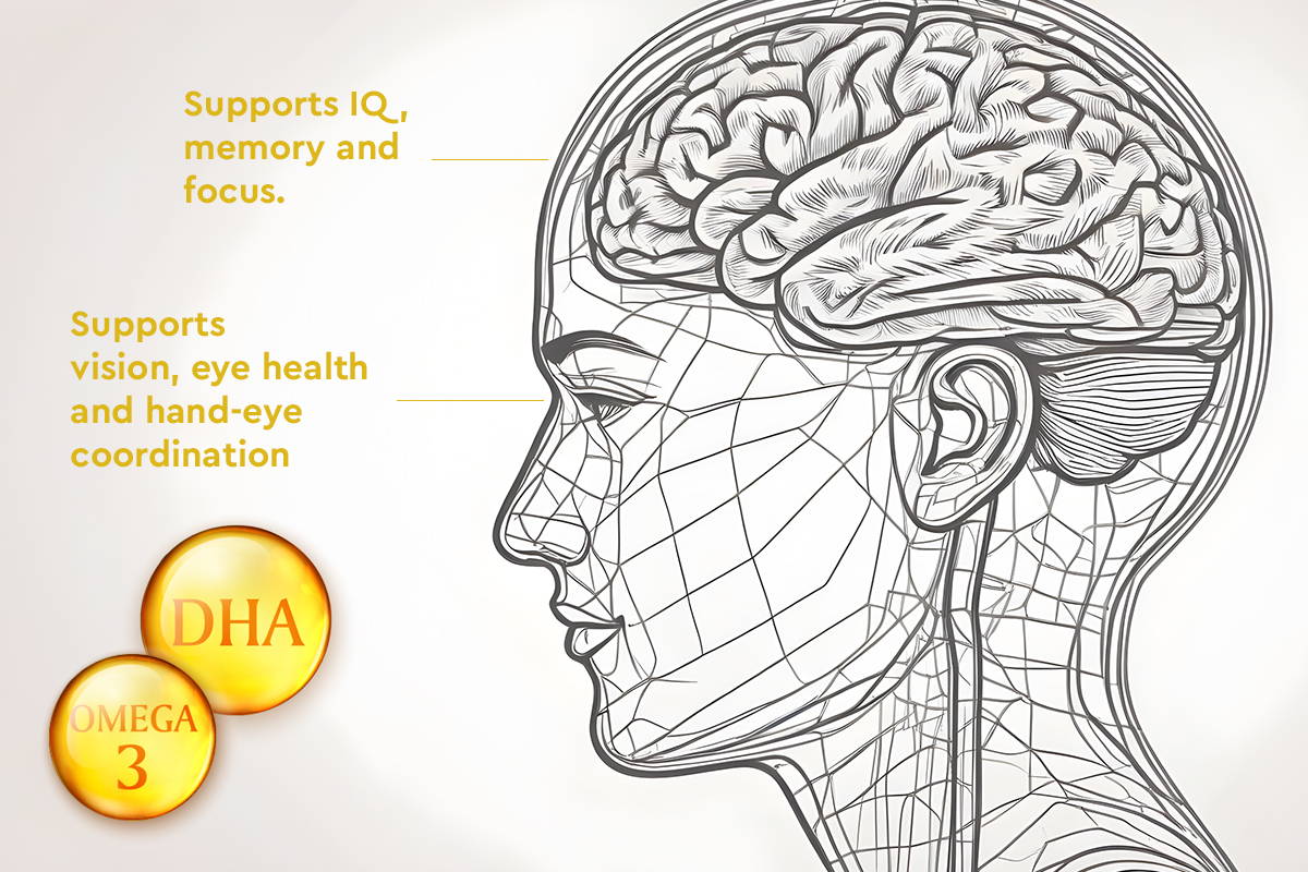Omega Visual Eyes on the Prize – Cognitive and Visual Benefits of Omega-3s for ...