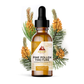 Pine Pollen Tincture contains 14 vitamins, 24 minerals, 20+ amino acids, 18 live enzymes, fatty acids and brassino-compounds in every bottle.