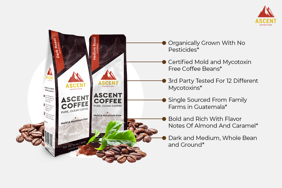 Ascent Nutrition Ascent Coffee Benefits