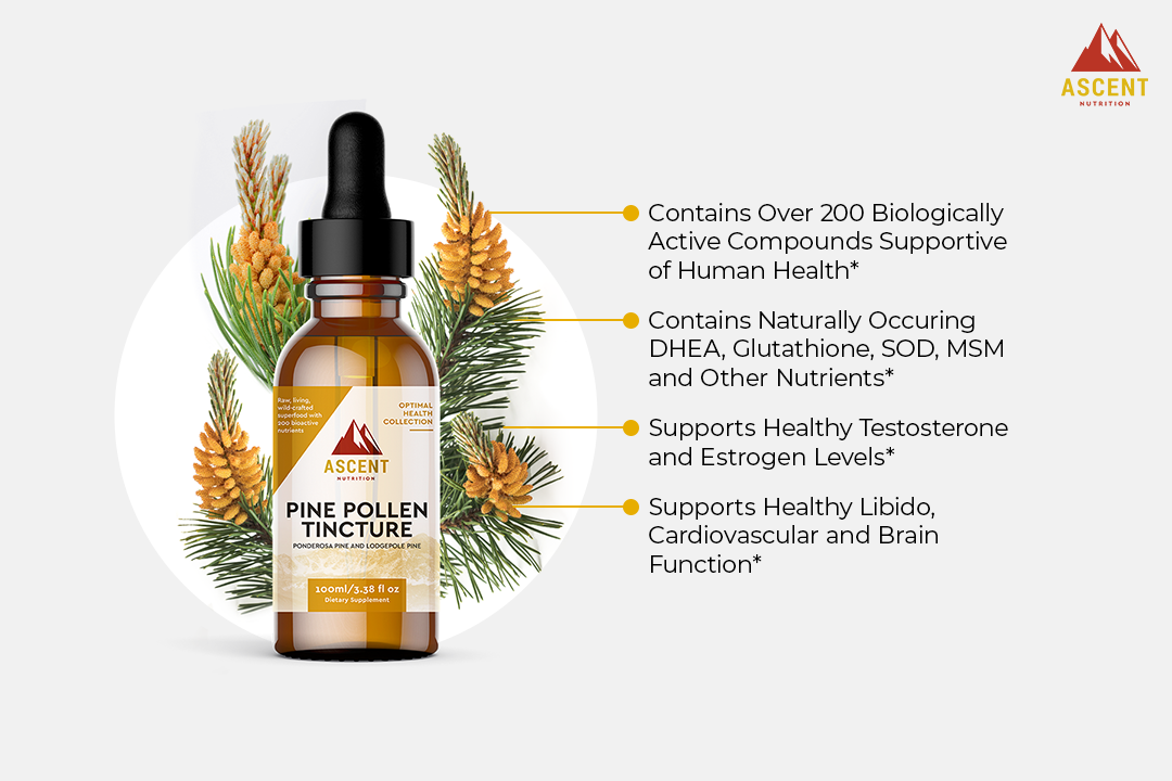 Pine Pollen Strength Booster and physical Performance Tincture 2 oz. –  Saluz Health