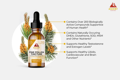 Ascent Nutrition Pine Pollen Benefits